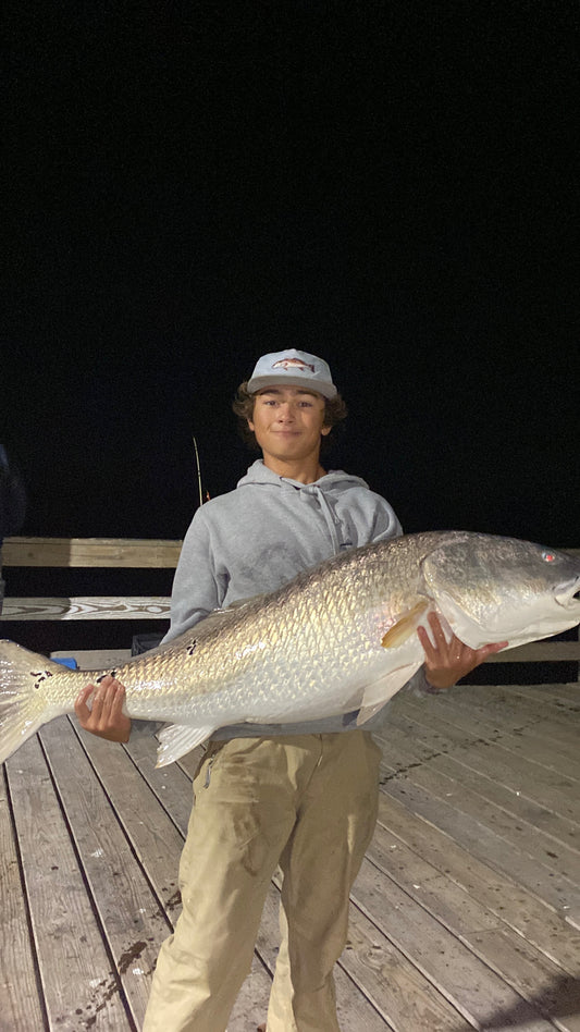 Red Drum Rig - 2" - 10/0 Circle Hook
